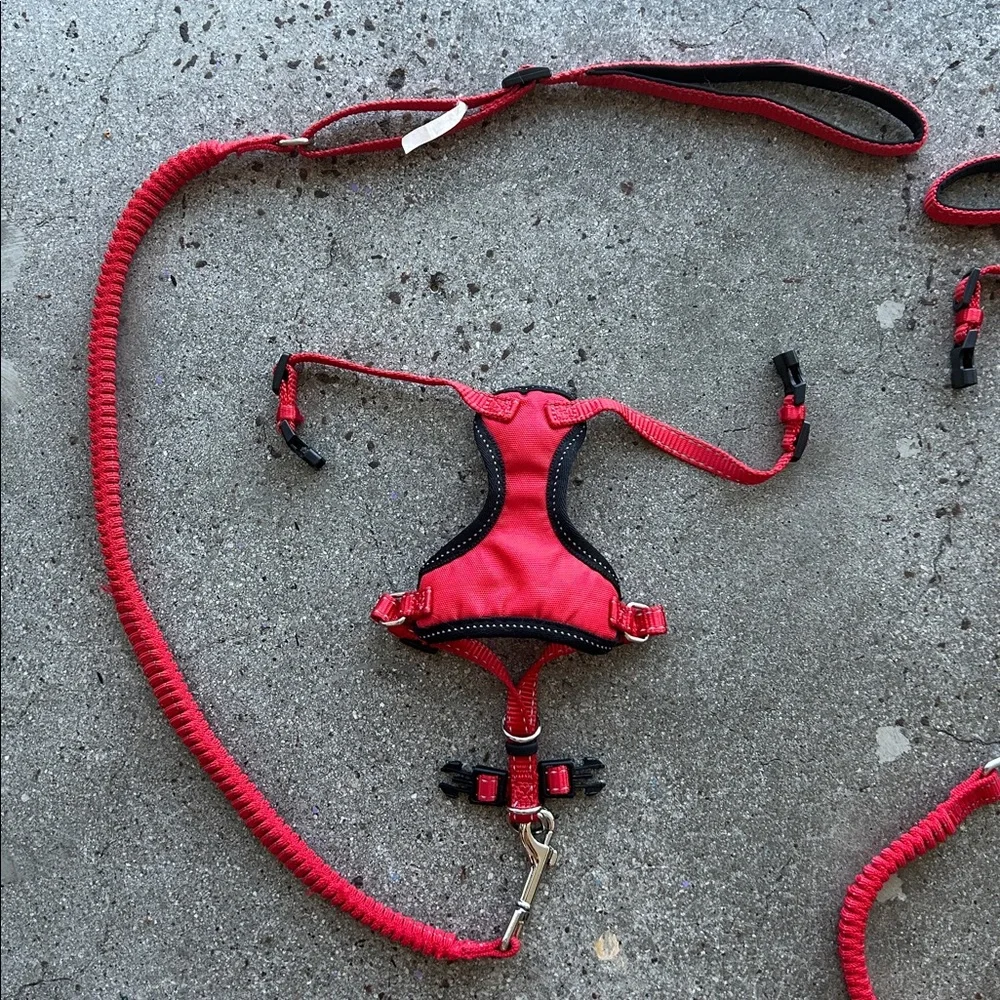 Red Cat Pet Harness and Leash Set